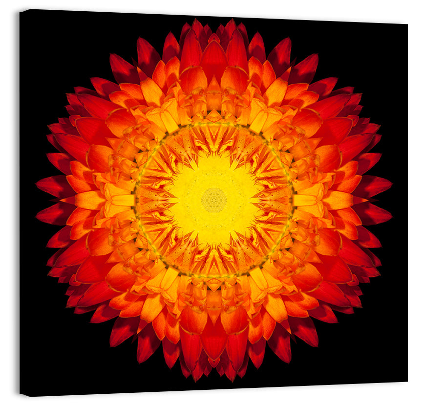 Radiant Red Kaleidoscopic Mandala Flower Wall Art, canvas print, square