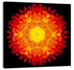 Radiant Red Kaleidoscopic Mandala Flower Wall Art