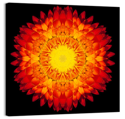 Red Mandala Flower Wall Art