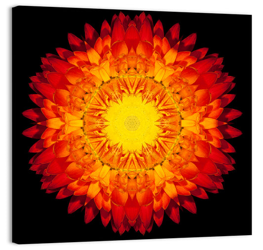 Red Mandala Flower Wall Art