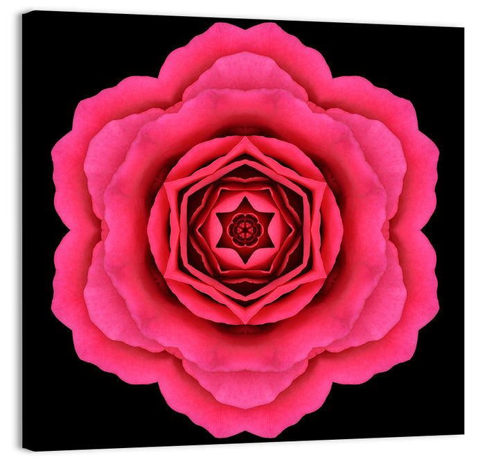 Magenta Rose Mandala Pattern Wall Art as a canvas print