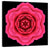 Pink Flower Mandala Wall Art