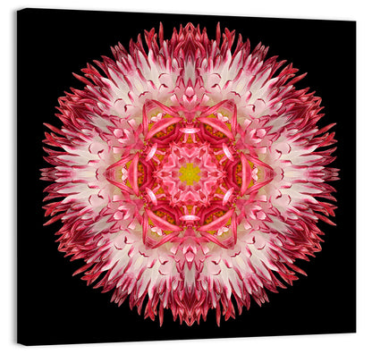 Star Shape Mandala Wall Art