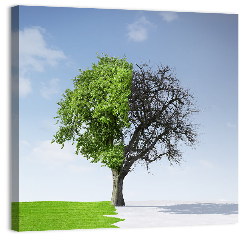 Split Seasons Tree Wall Art