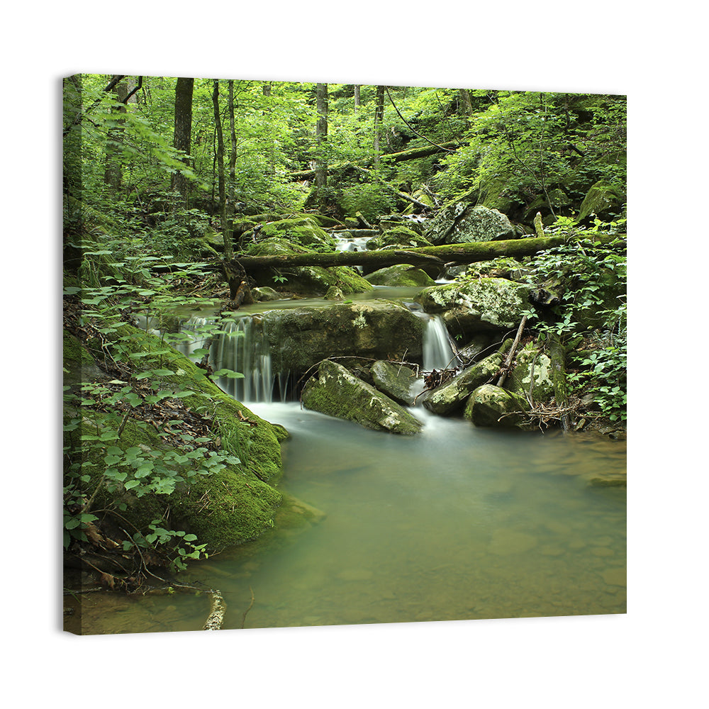 Arkansas Forest Stream Wall Art, canvas print, square