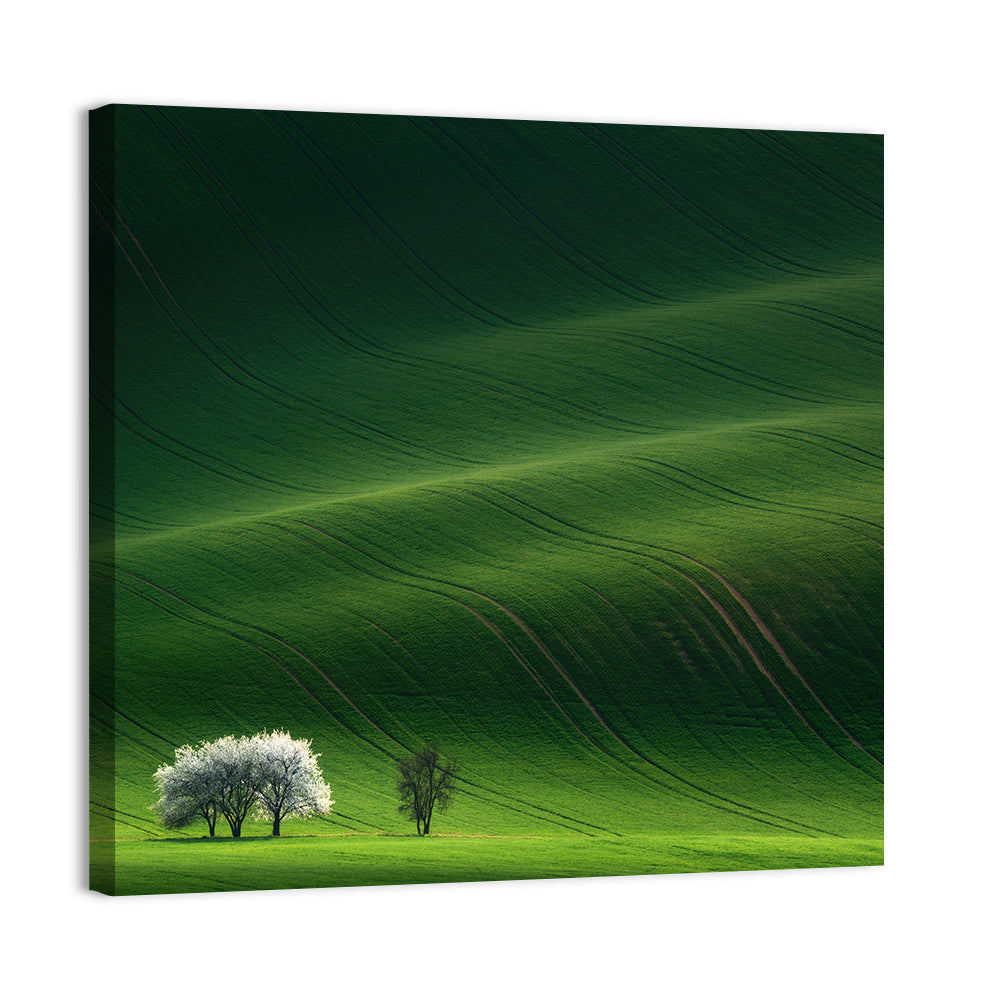 Emerald Hills with Blossoming Tree Wall Art