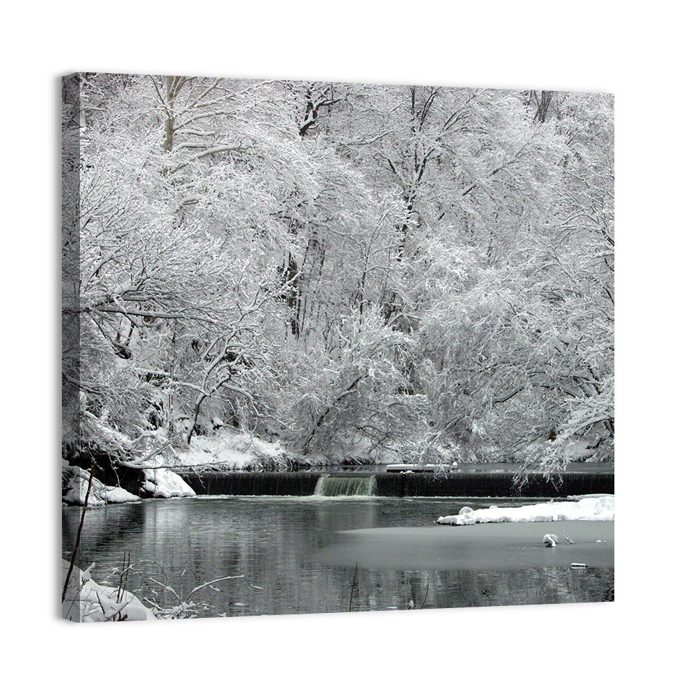 Fairmount Park Winter Spillway Wall Art