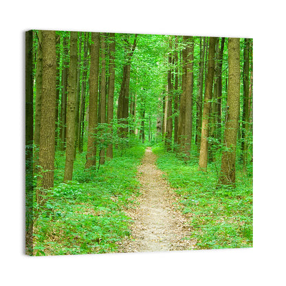 Green Forest Pathway Wall Art