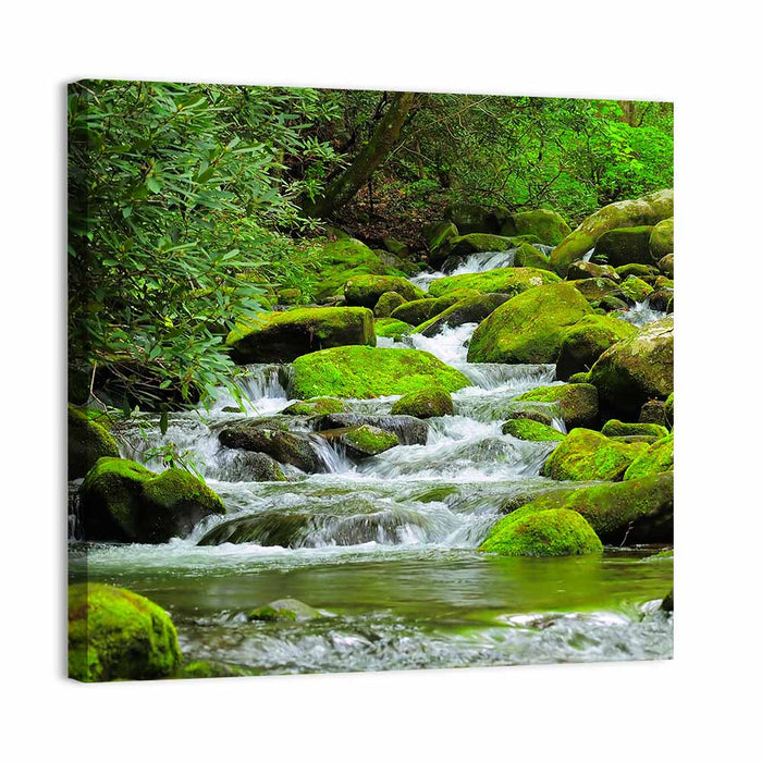 Cascading Mountain Stream Wall Art as a canvas print