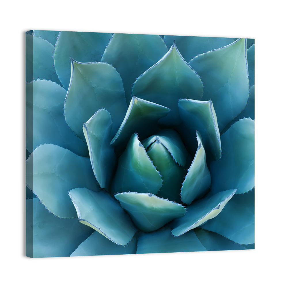 Agave Plant Wall Art