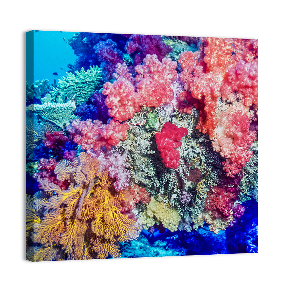 Vibrant Coral Reef Wall Art, canvas print, square