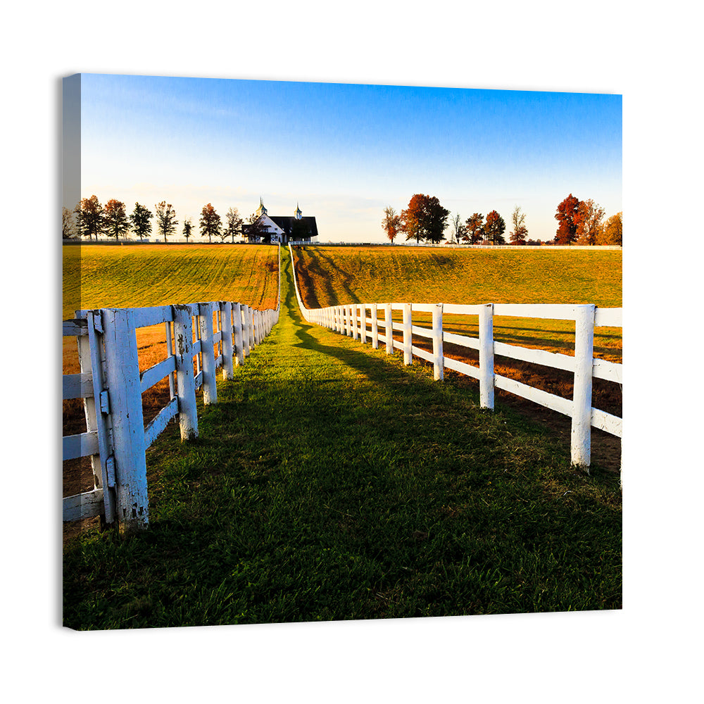 Kentucky Horse Farm at Golden Hour Wall Art