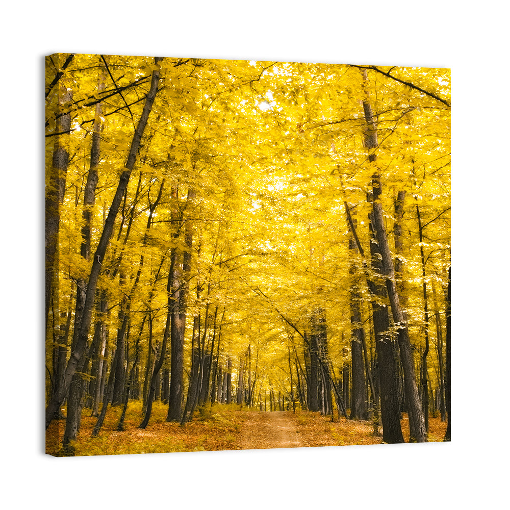 Yellow Autumn Forest Path Wall Art