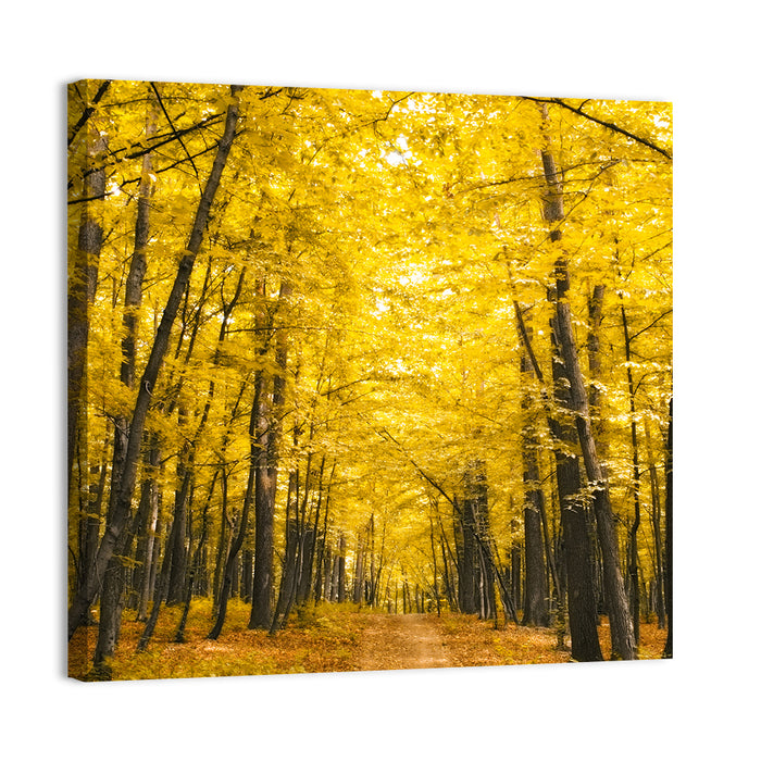 Yellow Autumn Forest Path Wall Art as a canvas print