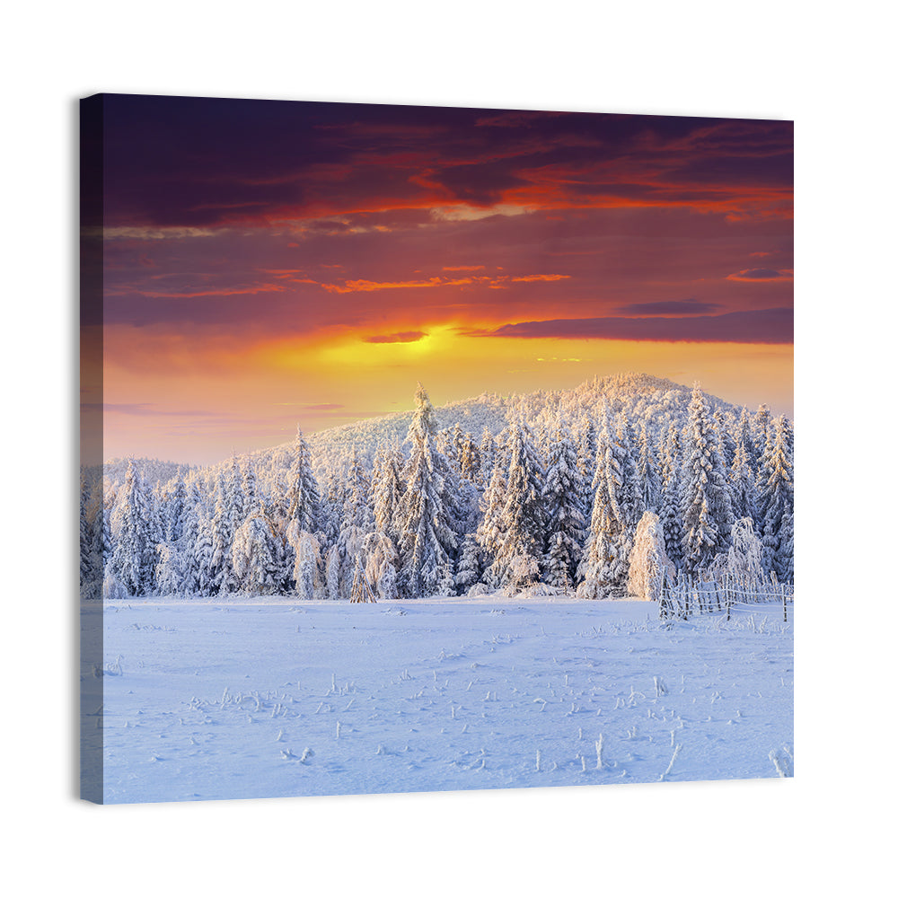 Snowy Forest Sunset Wall Art