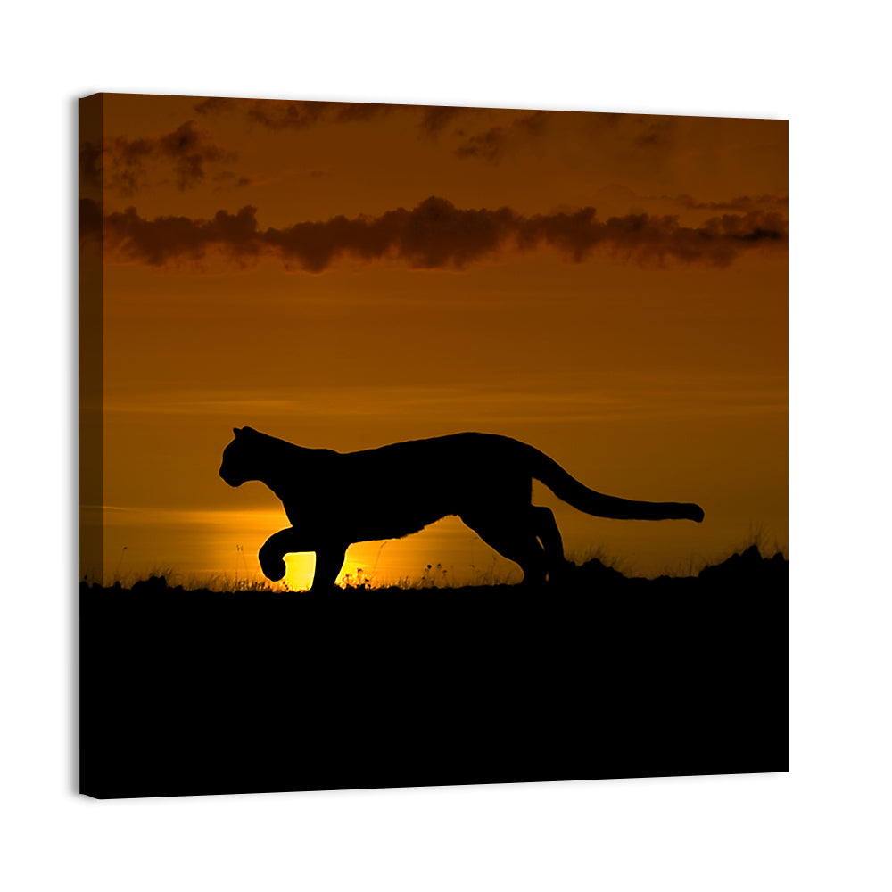 Cougar Silhouette at Sunset Wall Art, canvas print, square