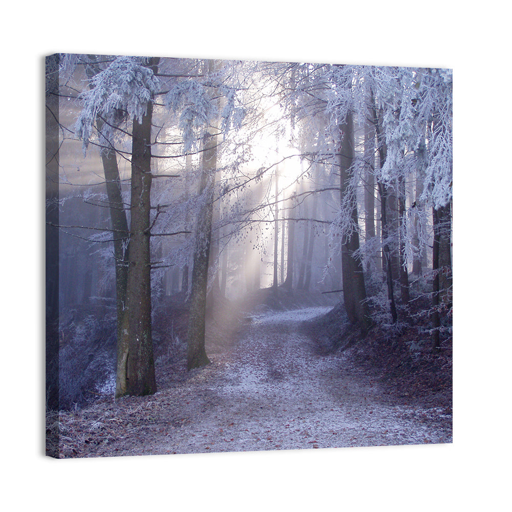 Frosted Forest Path at Dawn Wall Art