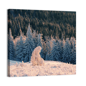 Snowy Carpathian Forest Wall Art