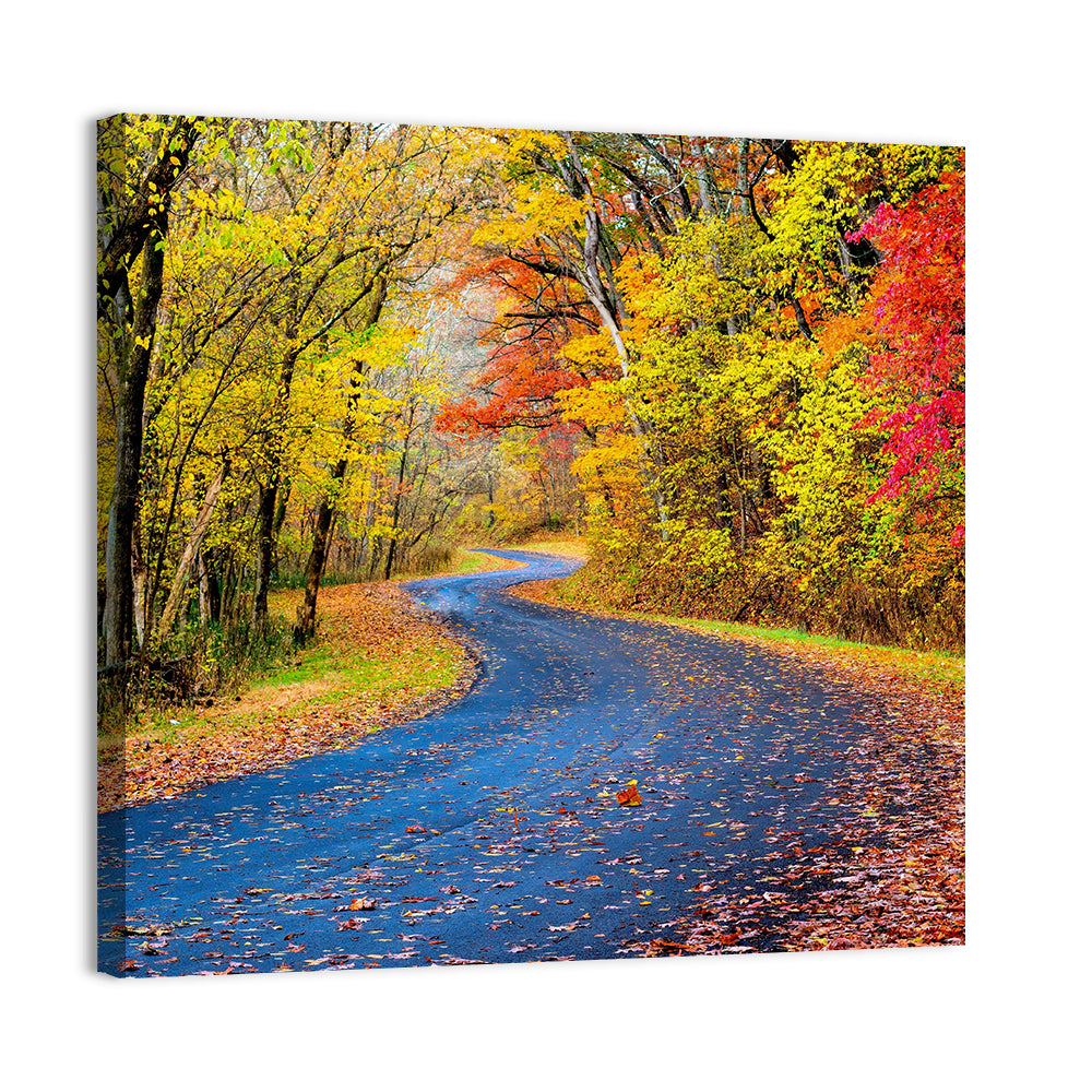 Wet Autumn Road Wall Art