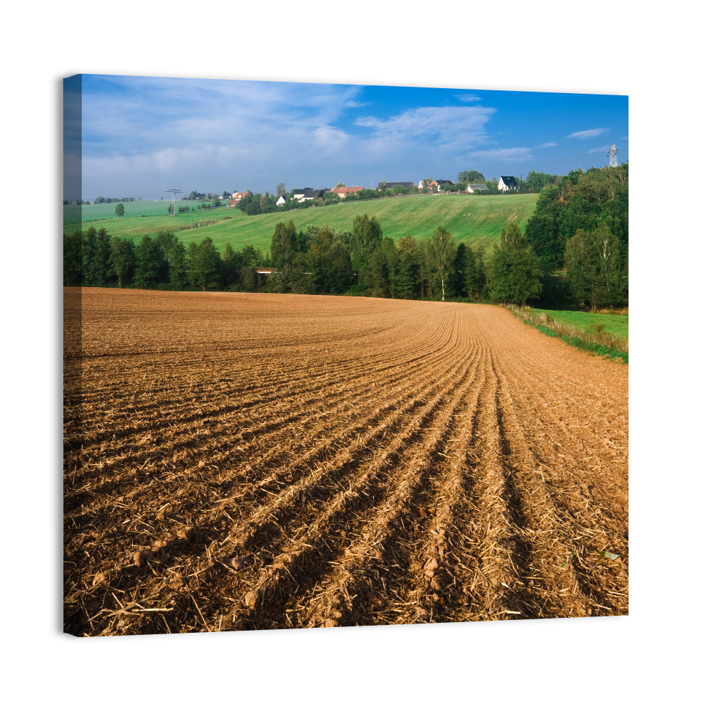 Kansas Wheat Fields Wall Art