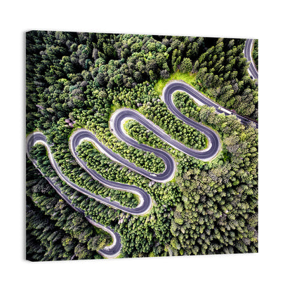 Curvy Road Wall Art