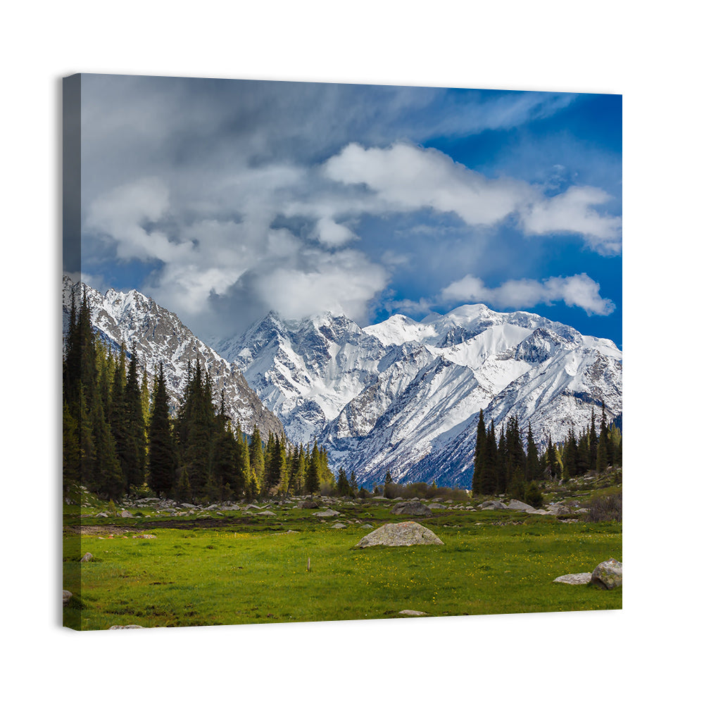 Ala Archa Meadow and Peaks Wall Art