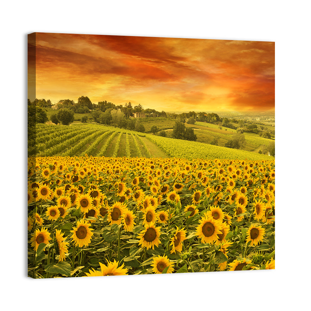 Sunflower Field at Golden Hour Wall Art
