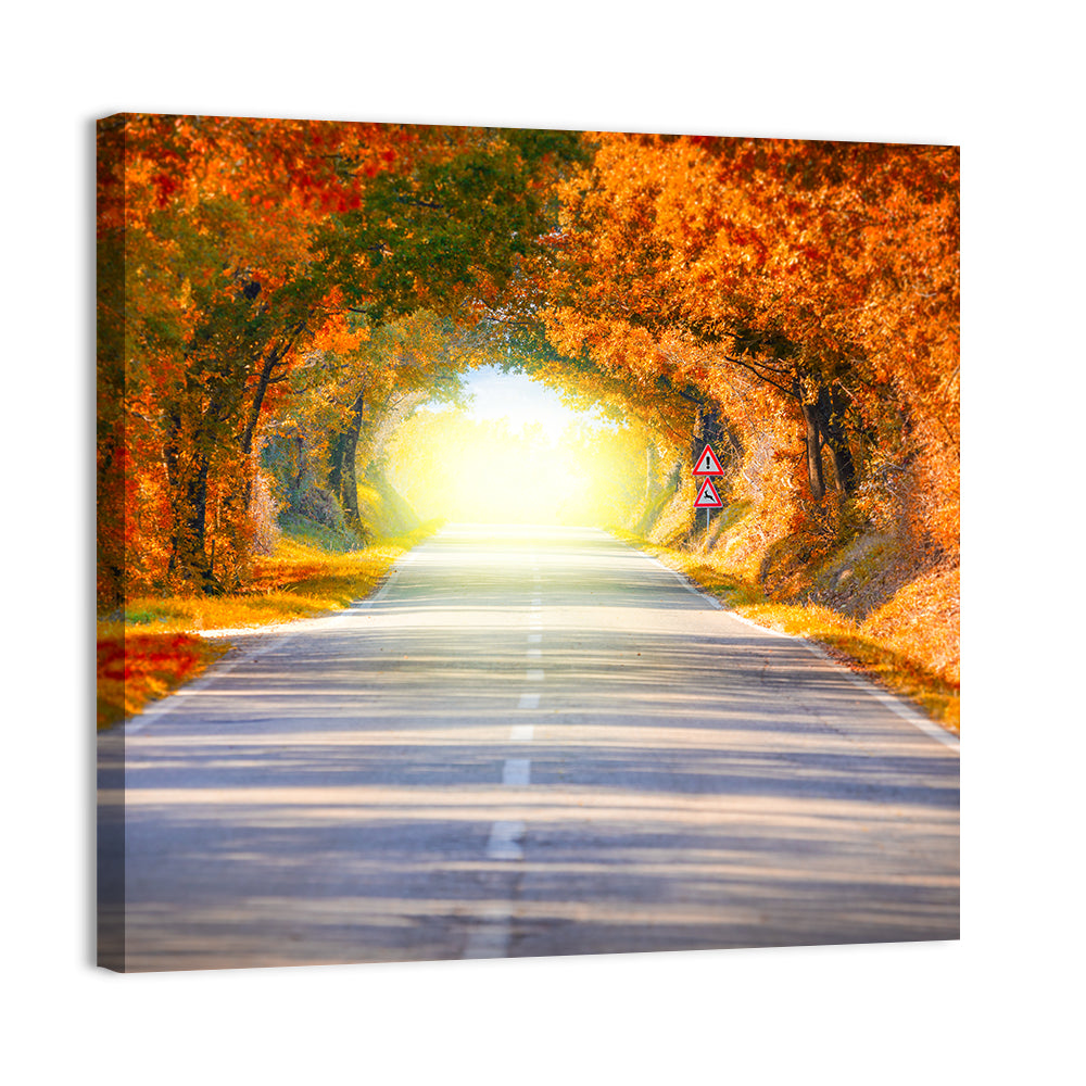 Golden Autumn Tree Tunnel Wall Art