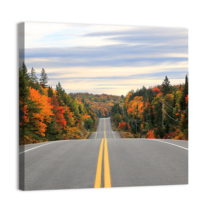 Algonquin Park Road Wall Art as a canvas print