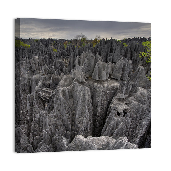 Tsingy De Bemaraha Pinnacles Wall Art as a canvas print