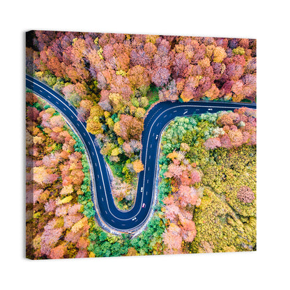 Winding Road Wall Art