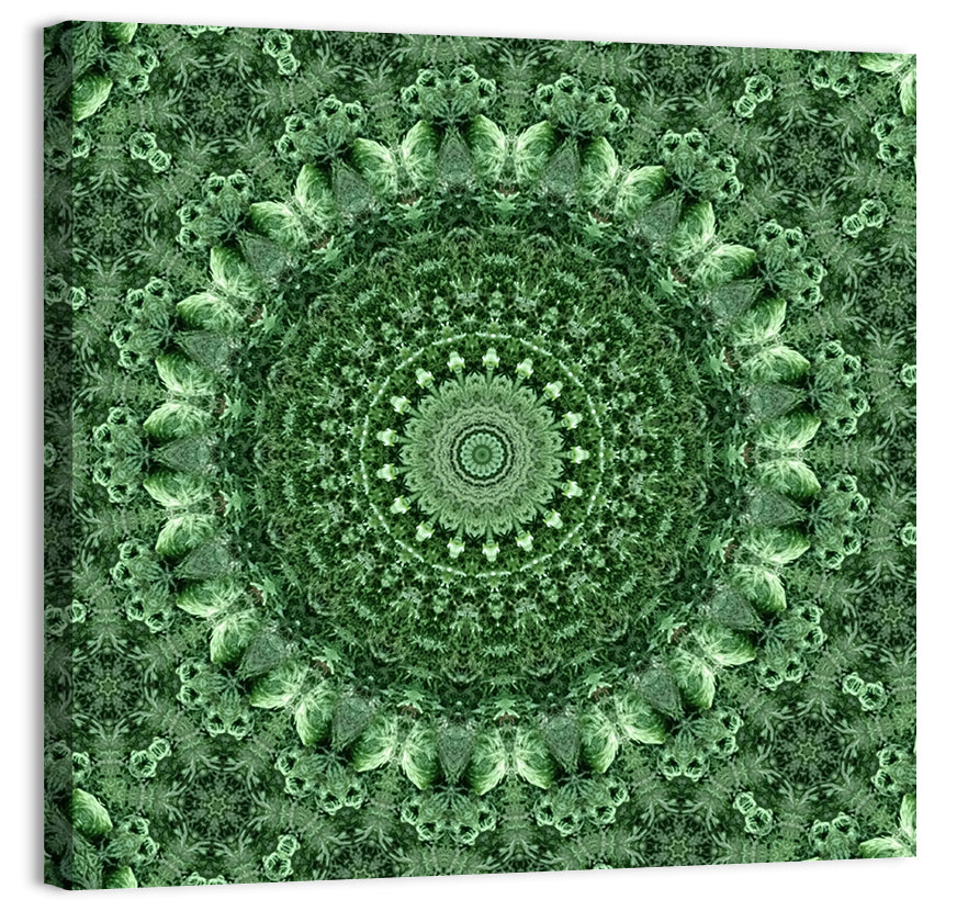 Green Botanical Kaleidoscope Mandala Wall Art