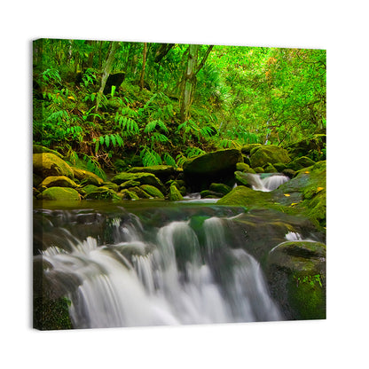 Forest Stream Wall Art