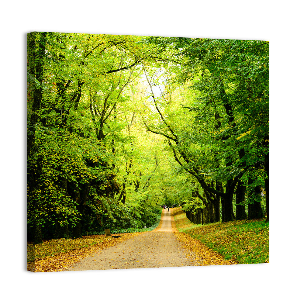 Sunlit Forest Pathway Wall Art, canvas print, square