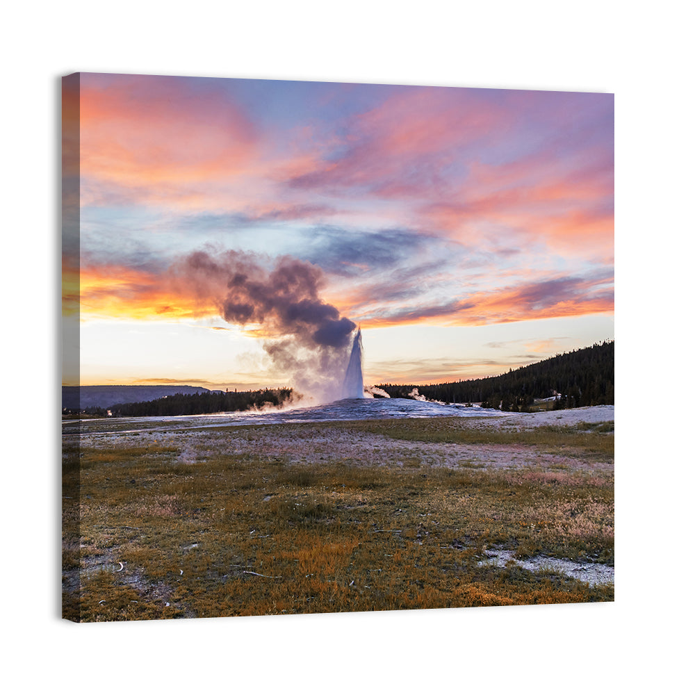 Old Faithful Cone Geyser Wall Art