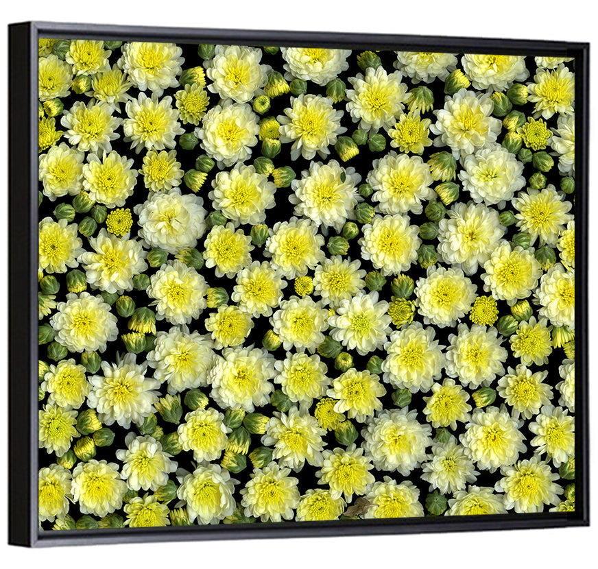 Yellow Chrysanthemum Bloom Pattern Wall Art