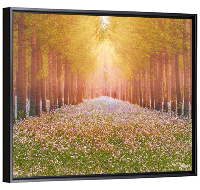 Golden Morning Forest Path Wall Art as a framed canvas