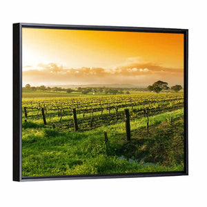 Barossa Valley Vineyard Wall Art