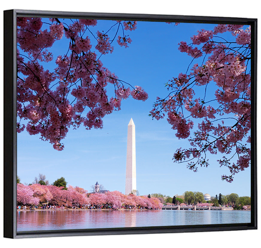 Washington Monument with Cherry Blossoms Wall Art
