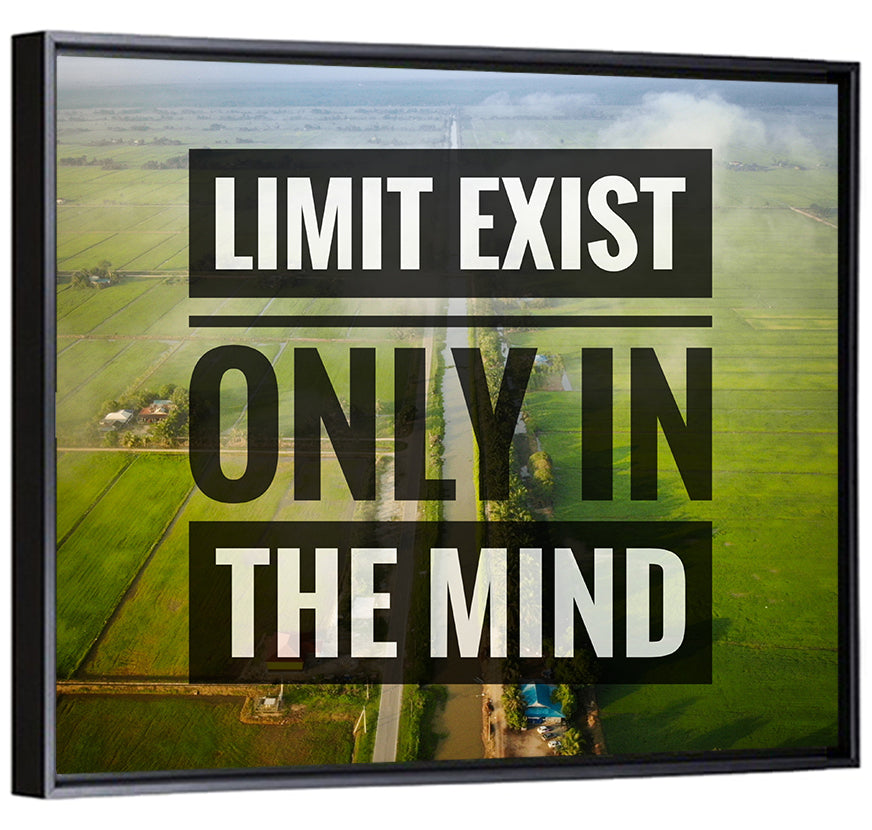 Limits Exist Only in the Mind Wall Art