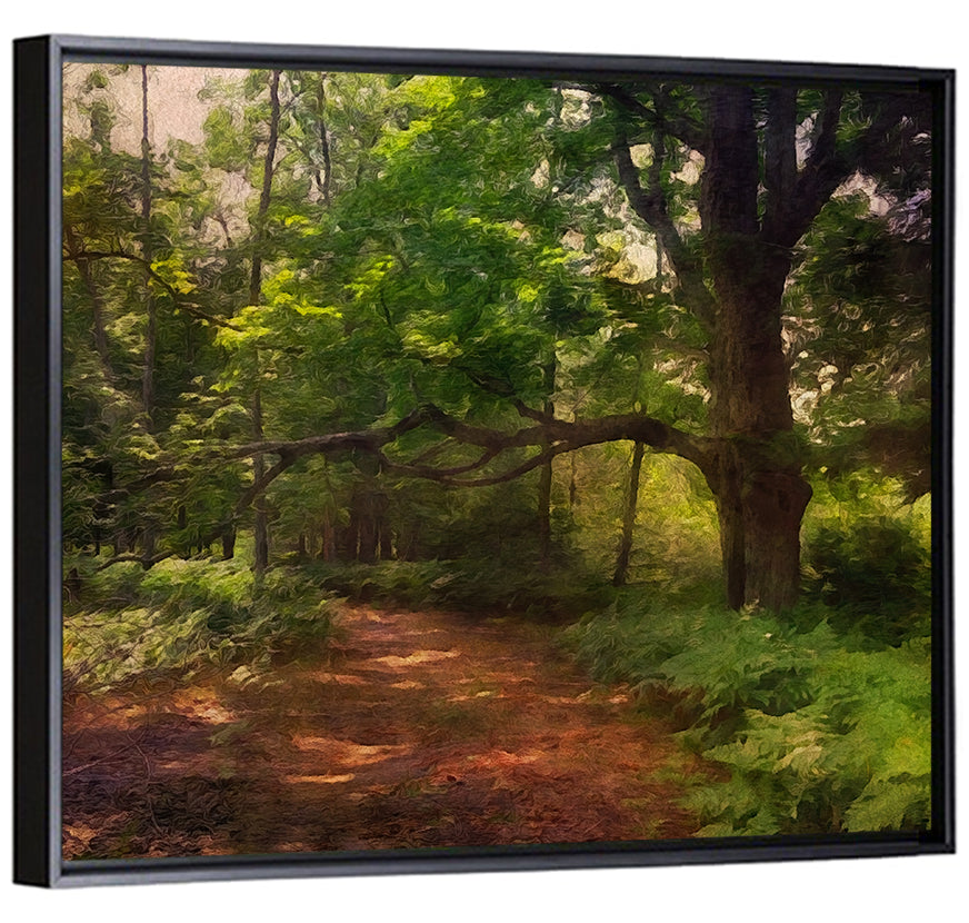 Sunlit Forest Trail Wall Art