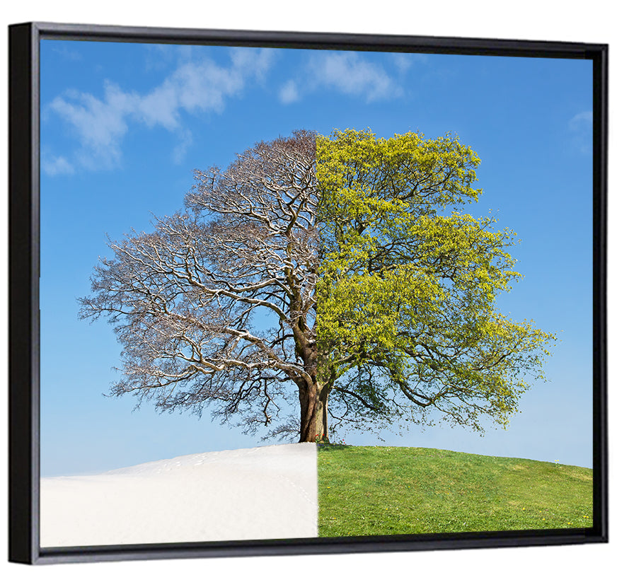 Split Season Tree Landscape Wall Art