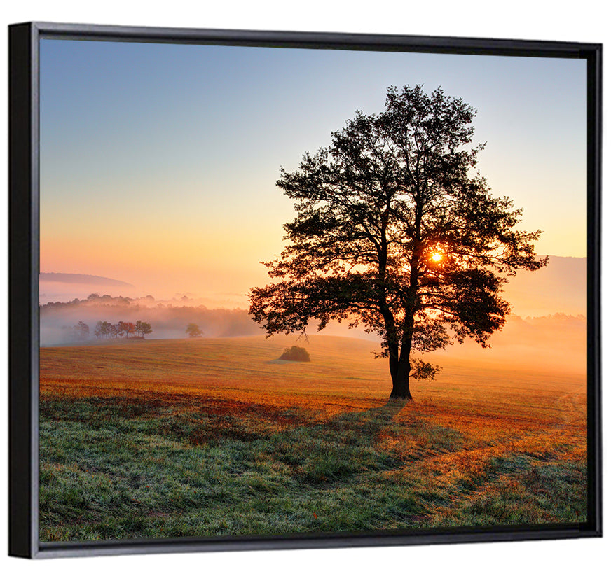 Misty Meadow Sunrise with Lone Tree Wall Art
