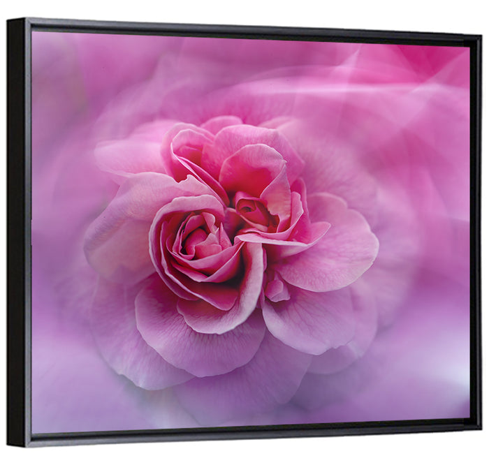 Ethereal Pink Rose Bloom Wall Art as a framed canvas