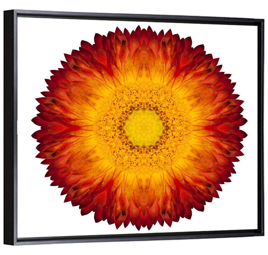 Kaleidoscopic Strawflower Wall Art