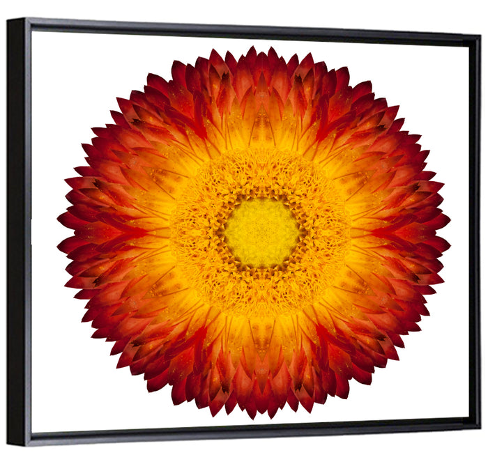 Kaleidoscopic Strawflower Mandala Wall Art as a framed canvas