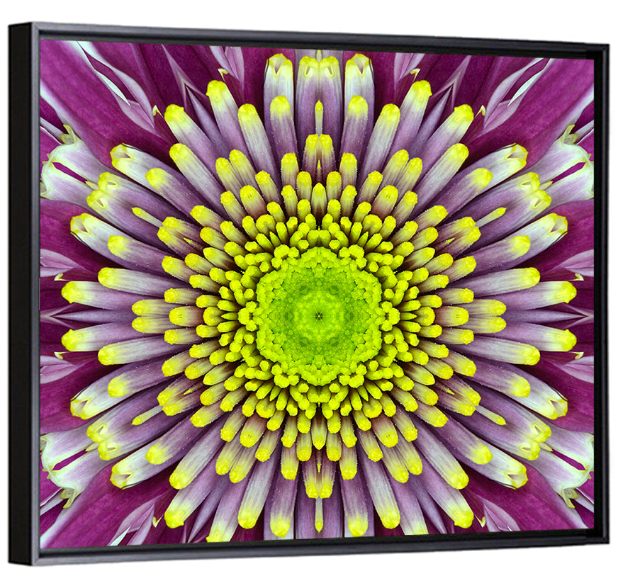 Mandala Chrysanthemum Macro Wall Art