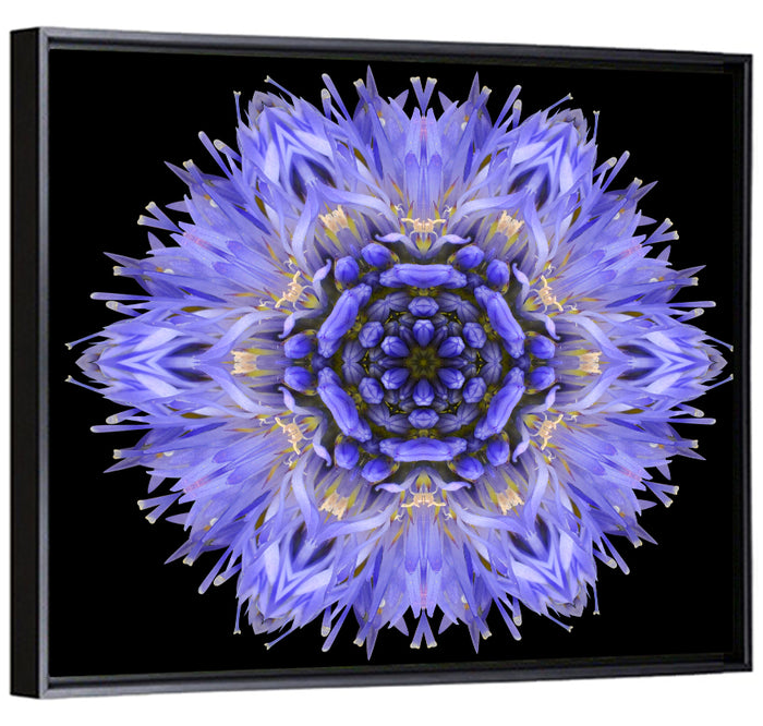 Cornflower Mandala Kaleidoscope Wall Art as a framed canvas