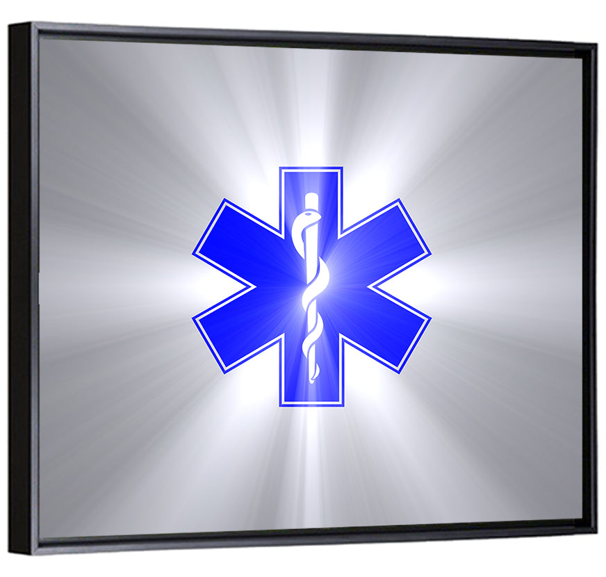 Star of Life with Rod of Asclepius Wall Art