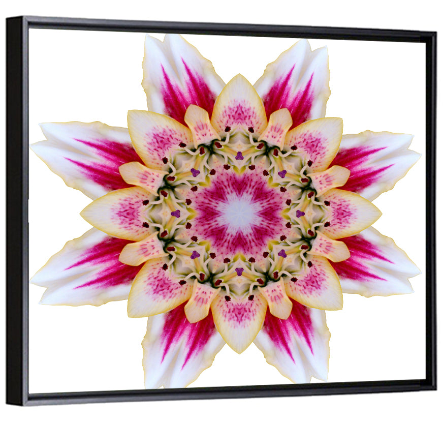 Star Mandala Pattern Wall Art